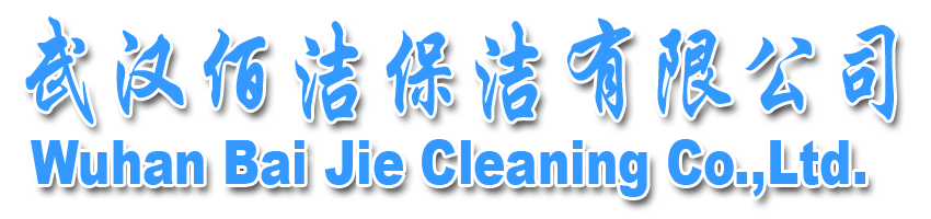武漢佰潔保潔有限公司